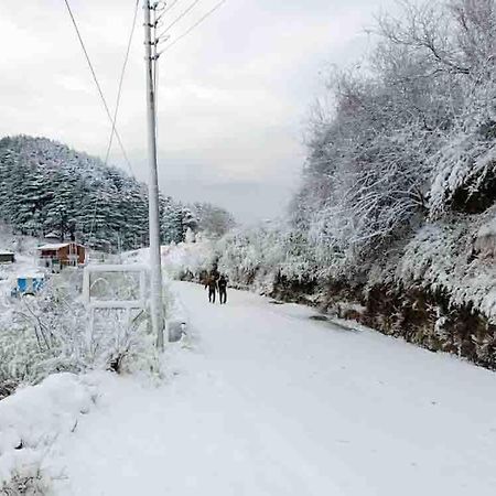 La Riqueza Dhanolti View # Near To Eco Park & Surkanda Devi Temple # Mountain View Rooms With Balcony # Big Parking # Customer Favourite Hotel Dhanaulti Eksteriør bilde