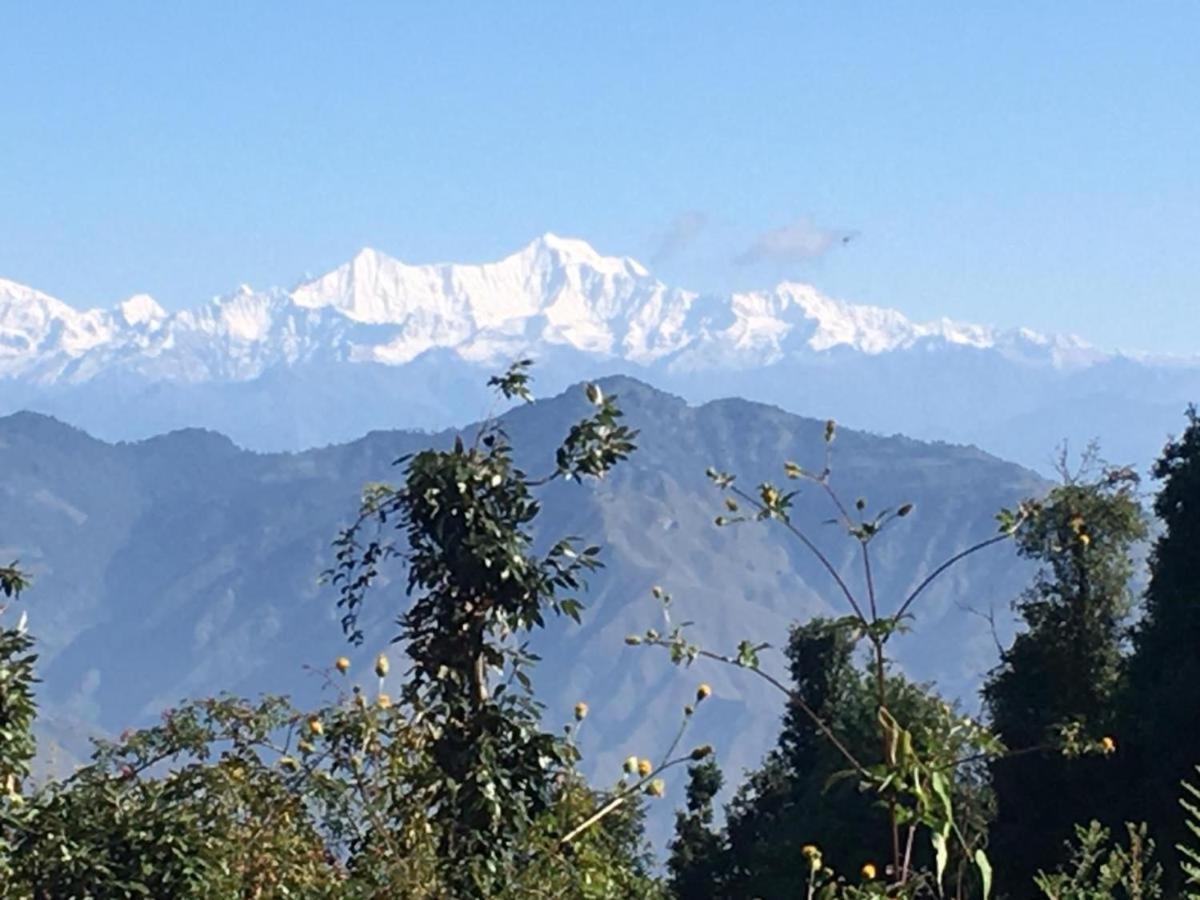 La Riqueza Dhanolti View # Near To Eco Park & Surkanda Devi Temple # Mountain View Rooms With Balcony # Big Parking # Customer Favourite Hotel Dhanaulti Eksteriør bilde