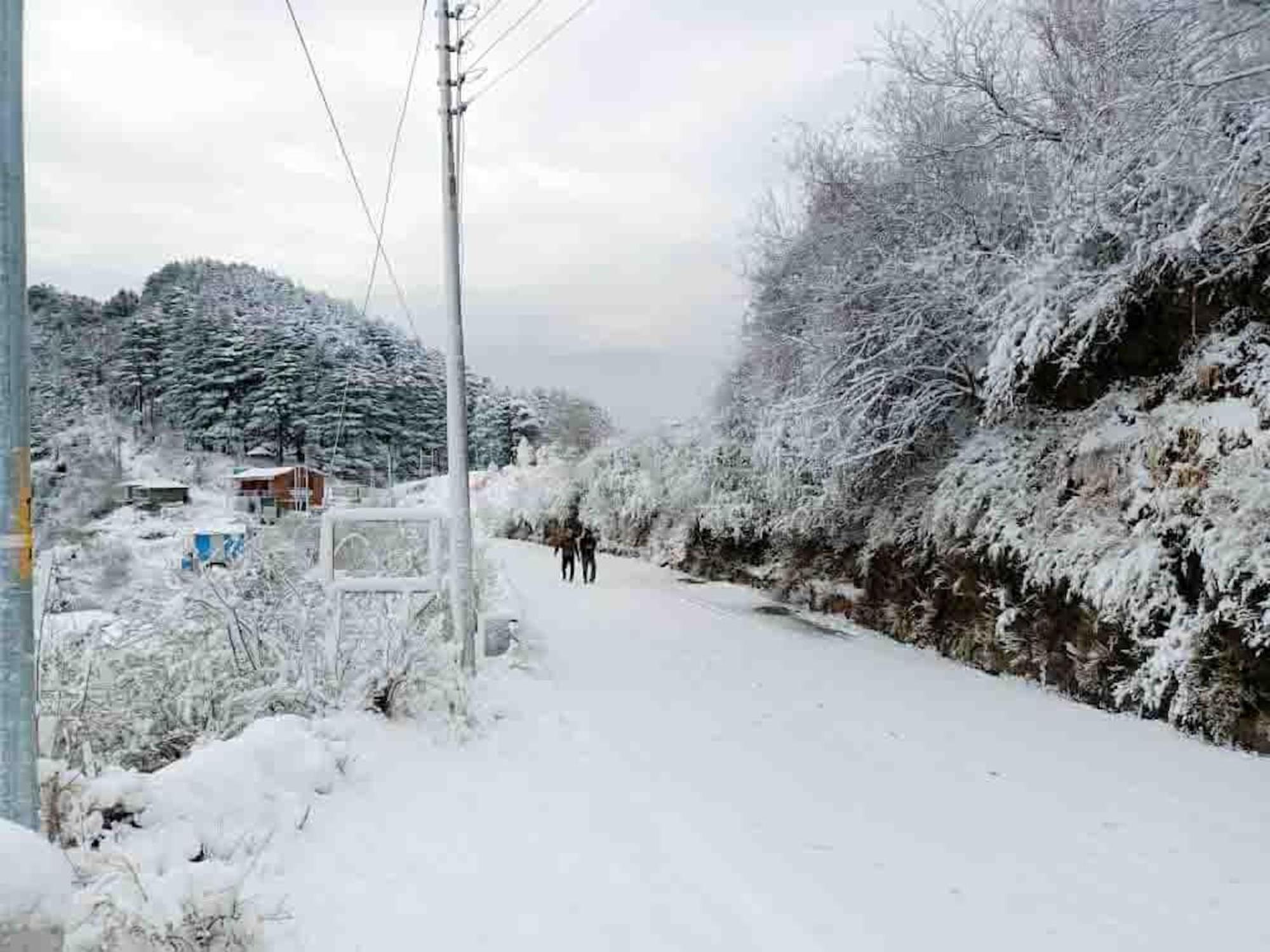 La Riqueza Dhanolti View # Near To Eco Park & Surkanda Devi Temple # Mountain View Rooms With Balcony # Big Parking # Customer Favourite Hotel Dhanaulti Eksteriør bilde