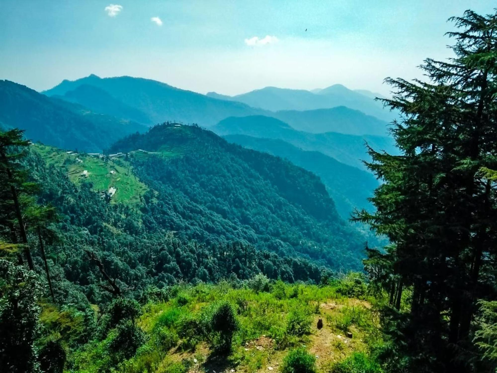 La Riqueza Dhanolti View # Near To Eco Park & Surkanda Devi Temple # Mountain View Rooms With Balcony # Big Parking # Customer Favourite Hotel Dhanaulti Eksteriør bilde